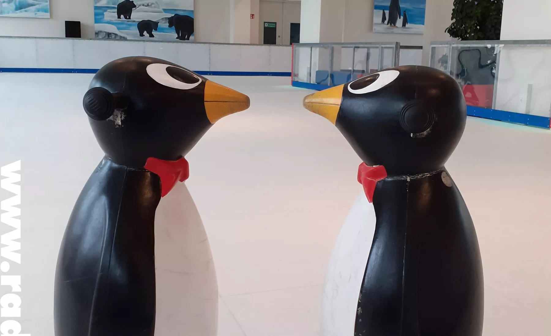 Pinguin-Rutschhilfen / Campus-Eiswelt Wolfen