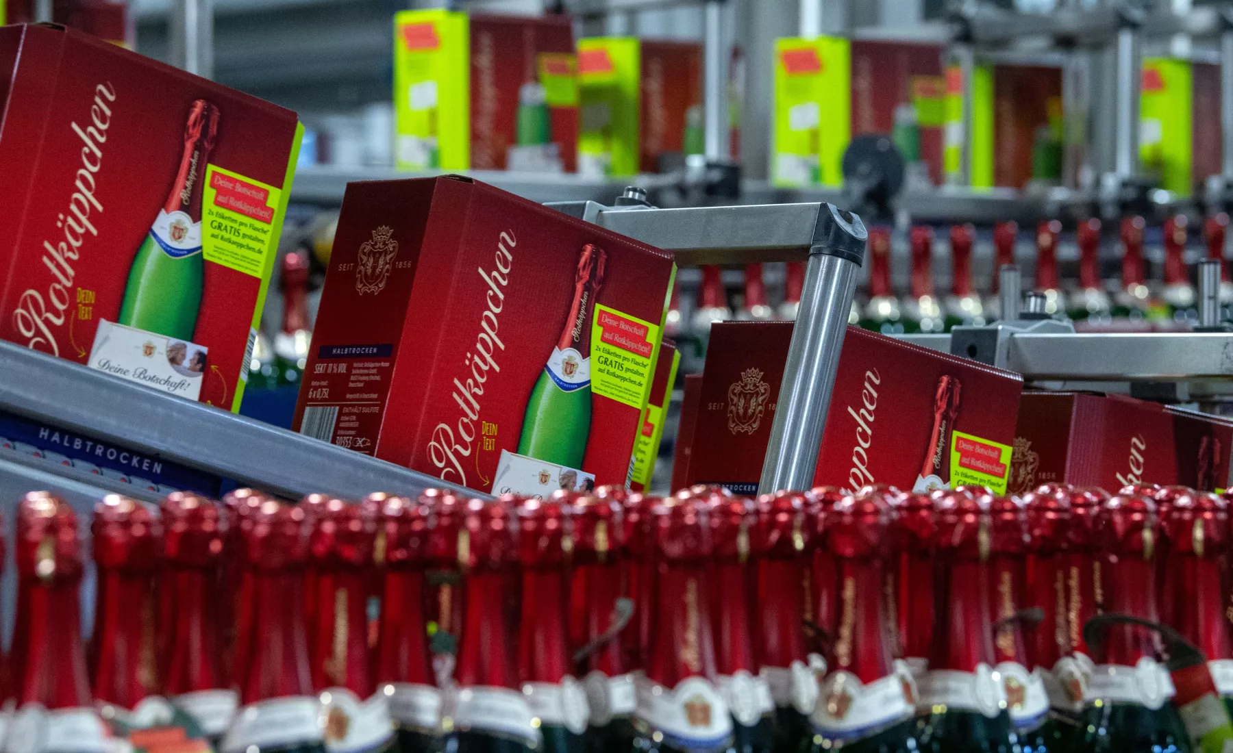 Sektflaschen werden in der Rotkäppchen Sektkellerei in Freyburg verpackt.