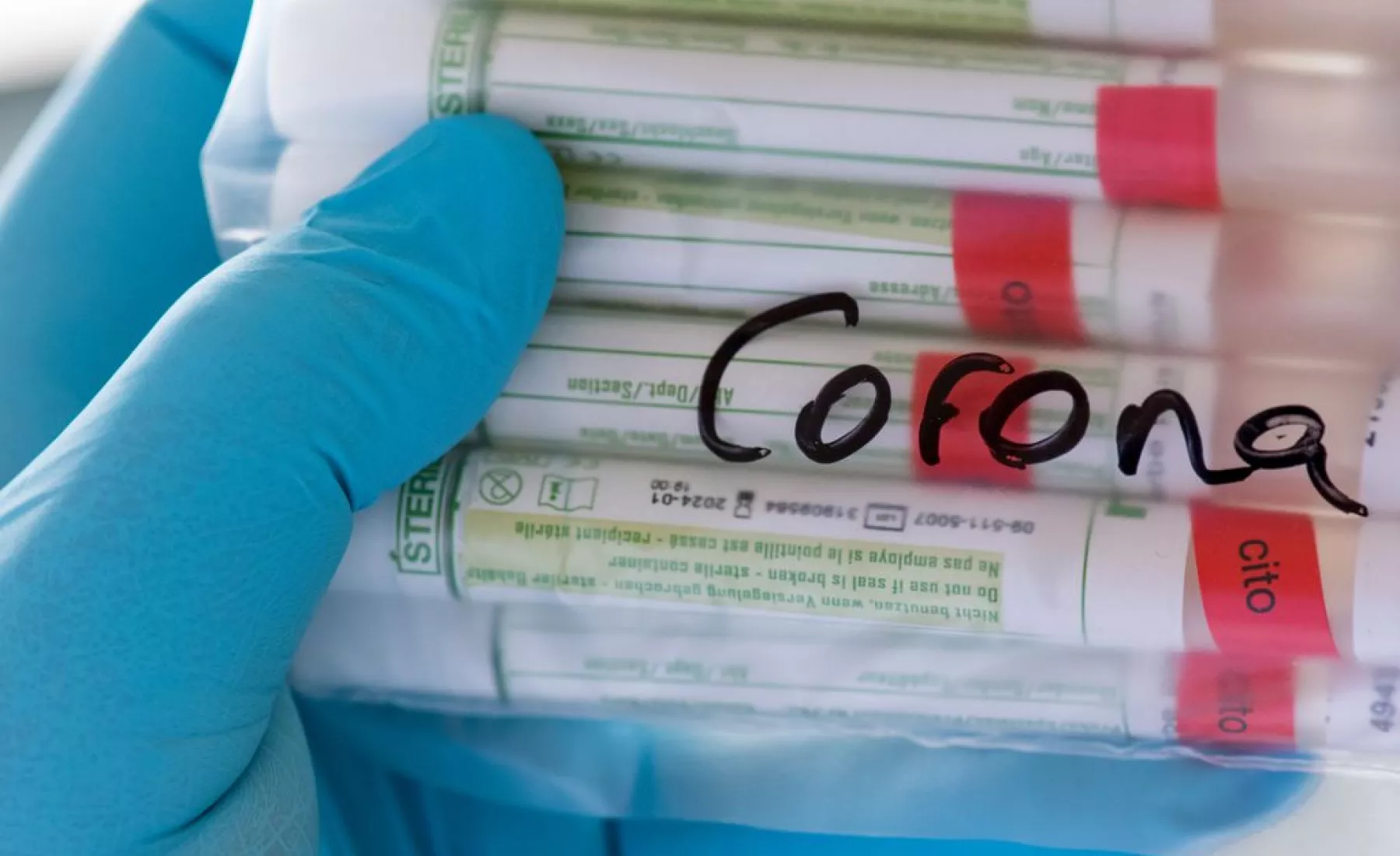 Sachsen, Plauen: Proben für Corona-Tests werden im Diagnosticum-Labor in Plauen für die weitere Untersuchung vorbereitet.