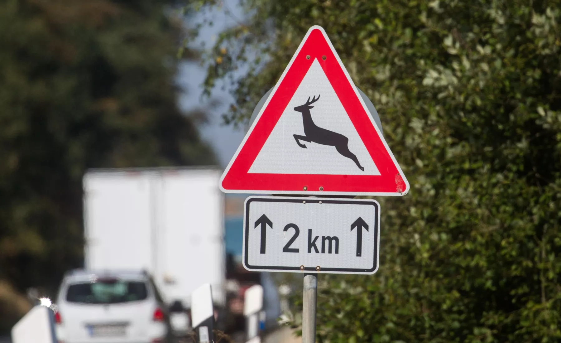 Symbolbild: Verkehrsschild warnt vor Wildwechsel