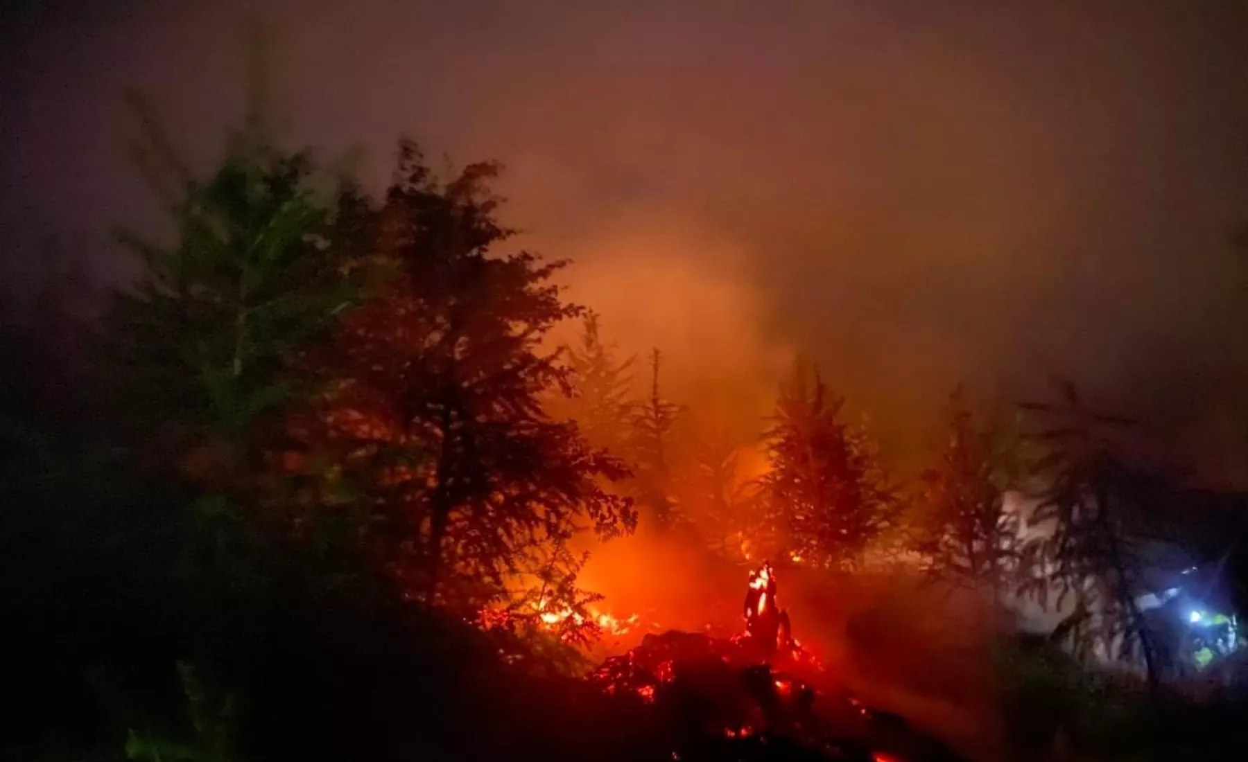 Waldbrand im Harz