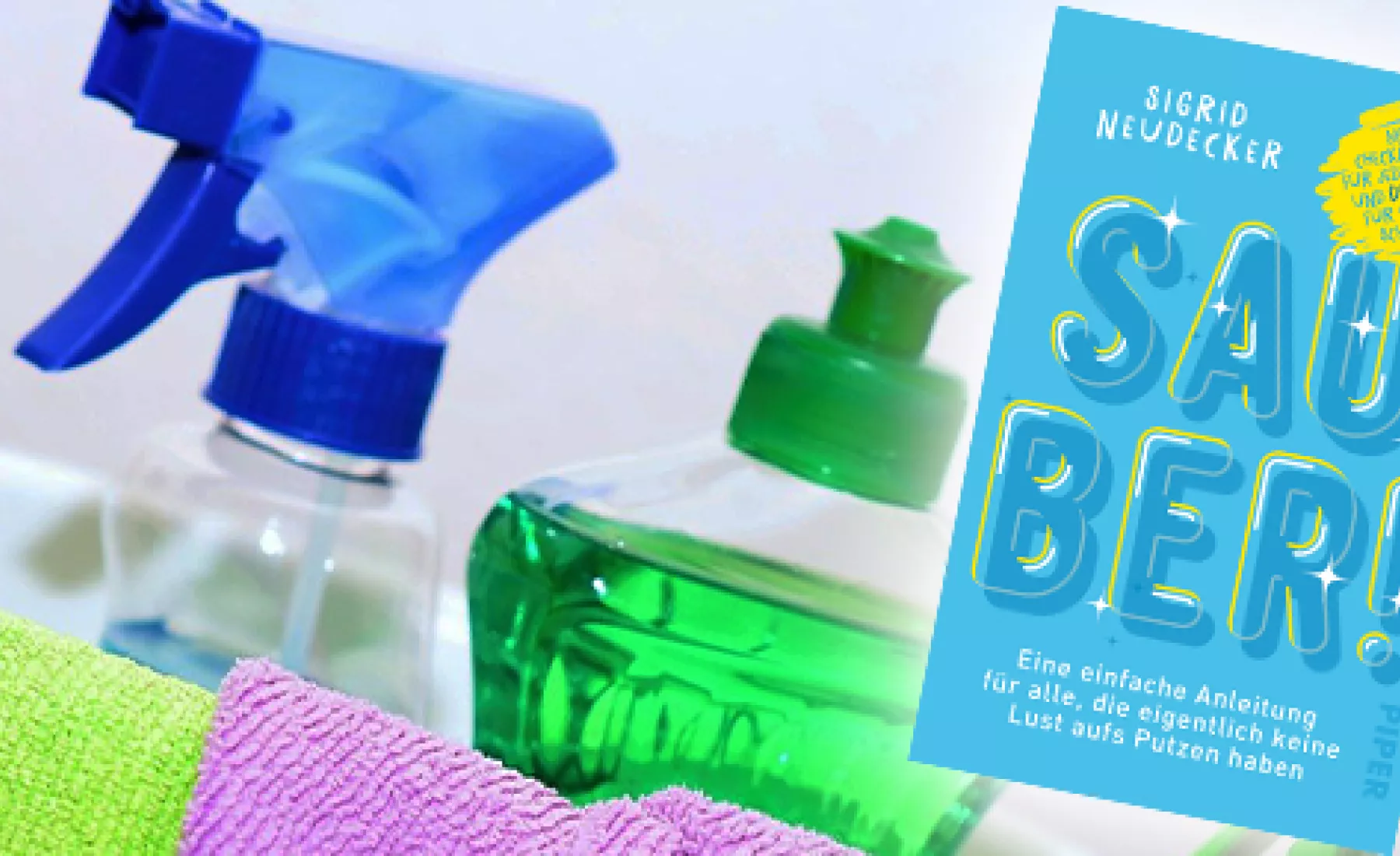 Buch Sauber!: Eine einfache Anleitung für alle, die eigentlich keine Lust aufs Putzen haben
