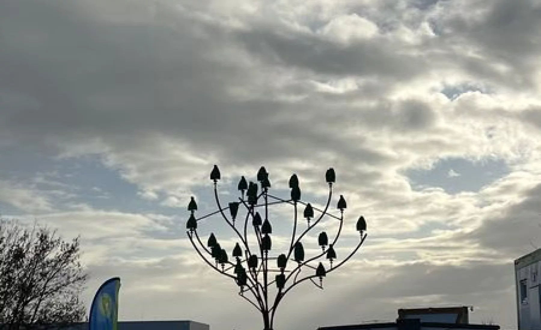 Windbaum am Ort der zukünftigen Fabrik