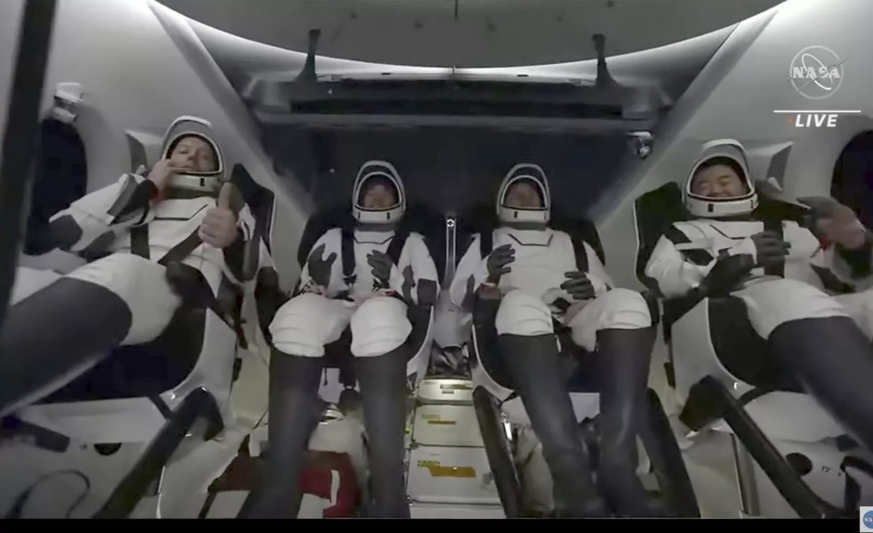 Die gelandeten Astronauten 