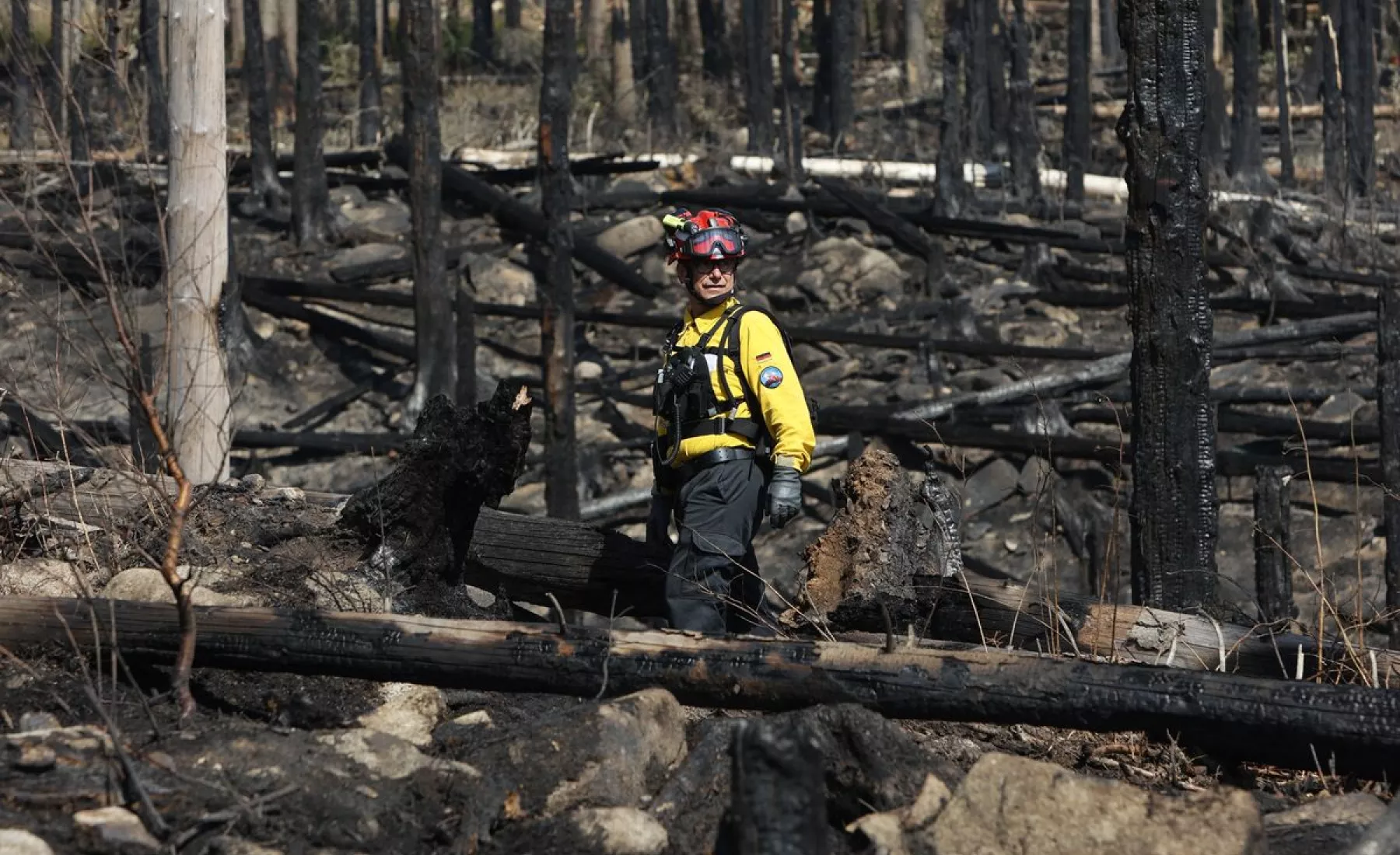 Ein Mann steht im verbrannten Wald und begutachtet die Umgebung