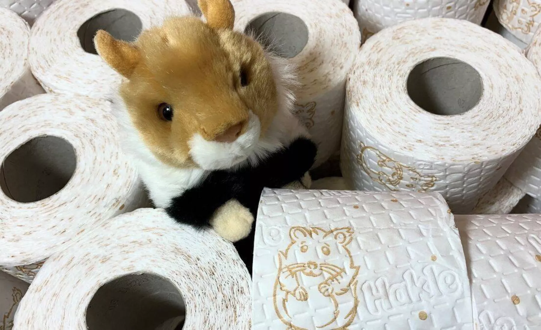 Hakle Toilettenpapier Edition Hamster