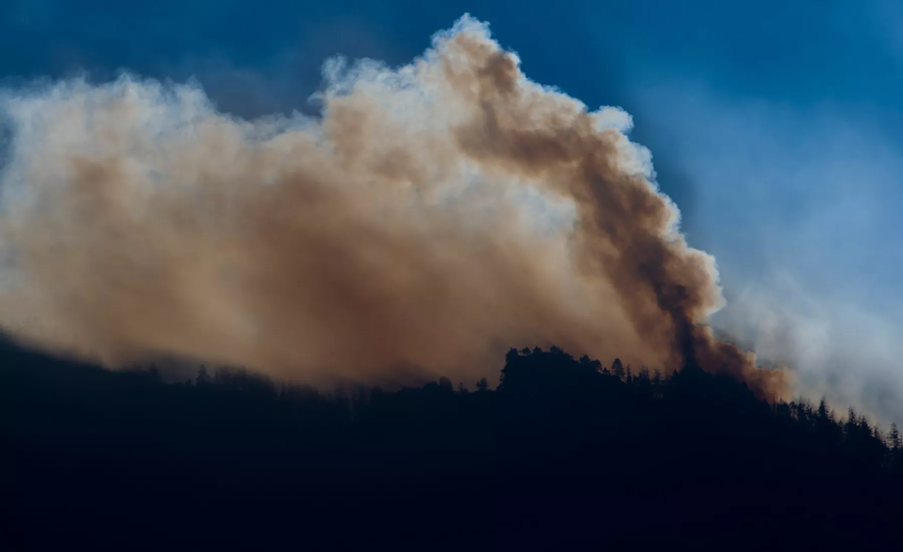 Waldbrand in Oberbayern