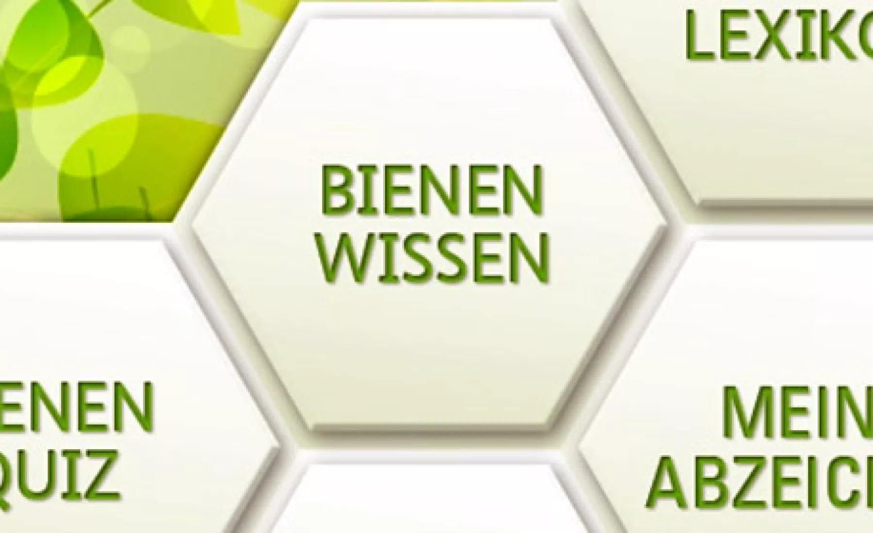 Screenshot: Bienen-App