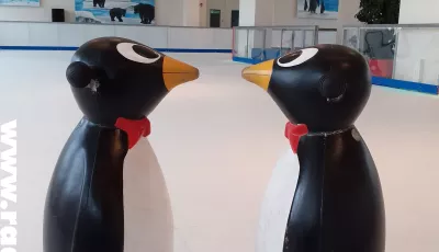 Pinguin-Rutschhilfen / Campus-Eiswelt Wolfen