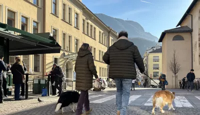 Hundehalter gehen mit ihren Tieren in den Straßen von Südtirols Hauptstadt Bozen spazieren
