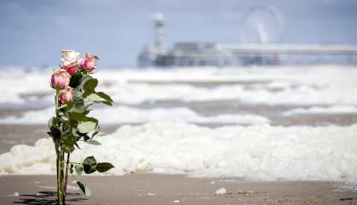 Rosen stecken im Sand am Strand von Scheveningen.