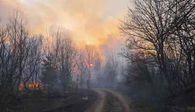 Waldbrände bei Tschernobyl