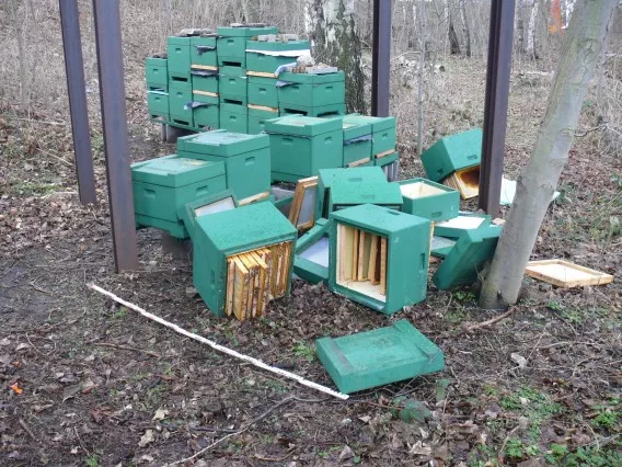 zerstörte Bienenkörbe