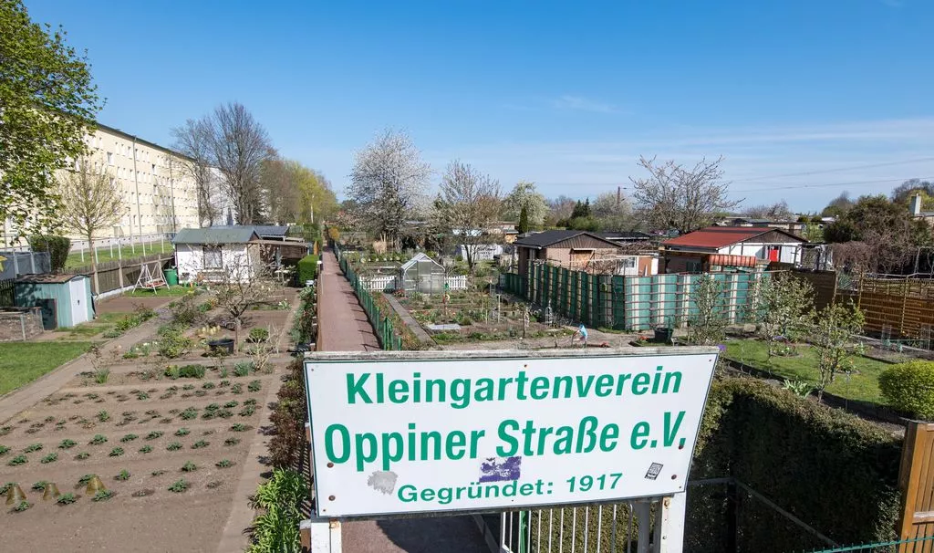 Blick auf den Kleingartenverein Oppiner Straße e.V. in Halle/Saale